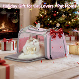 Airline Approved Cat Carrier 17.5×10.5×10.5 in, Escape-Proof Design with Locking Zippers & Safety Leash, Easy-Access 3-Way Entry, Washable Mat, Gift-Ready Holiday Choice for Cats up to 12 lb