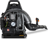 72CC Gas Backpack Leaf Blower, 760 CFM, 230 MPH 2-Stroke Blower with Adjustable Speed, Low Noise, and Ergonomic Design for Lawn, Yard, Garden & Commercial Use-Black