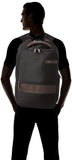 Samsonite Kombi Business Backpack, Black/Brown, 16.25 x 10.5 x 5-Inch