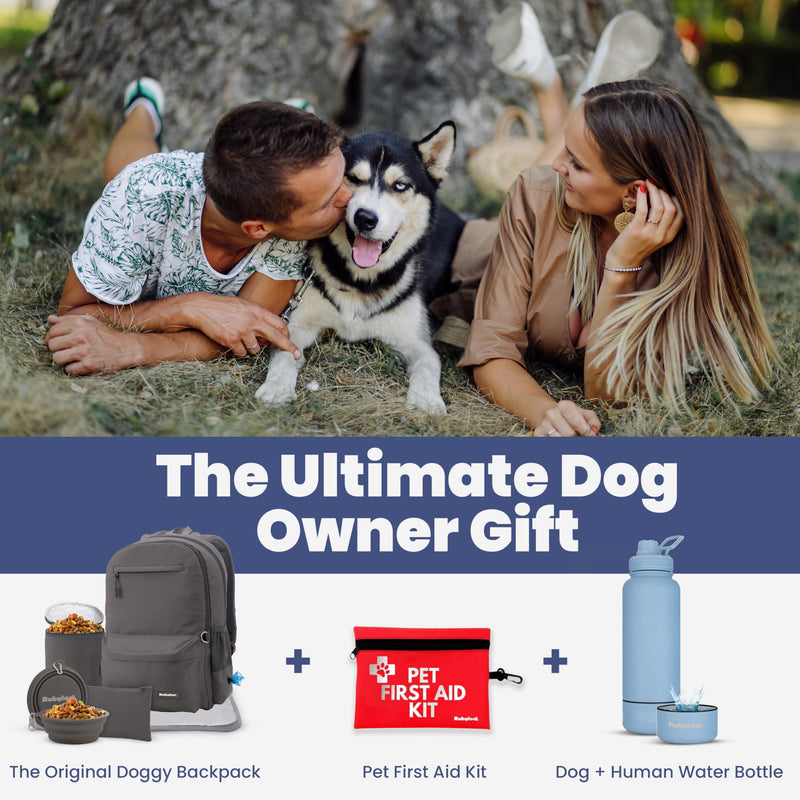 Dog Travel Bag for Supplies - Complete Dog Diaper Bag Backpack with 2 BPA-Free Travel Bowls, Treat Pouch, Food Container, Placemat & Laptop Sleeve – for Traveling, Road Trips, Hiking: Dk Grey