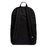 Hermosa Mesh Backpack, see-through transparent festival beach book bag