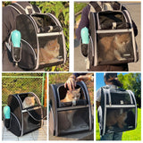 Cat Backpack Carrier for Small Dogs and Medium cat Puppy Kitten Bunny Pet Carrier Backpack Collapsible with Fully Ventilated Mesh with Safety Leash (Black, 12.9" L x 10.62" W x 15.5" H - M)