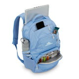 High Sierra Swoop SG Backpack, Travel or Work Laptop Bookbag with Drop Protection Pocket, and Tablet Sleeve, One Size, Cornflower Blue