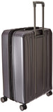 DELSEY PARIS Titanium Hardside Expandable Luggage with Spinner Wheels Checked Luggage, Graphite, Checked-Large 29 Inch