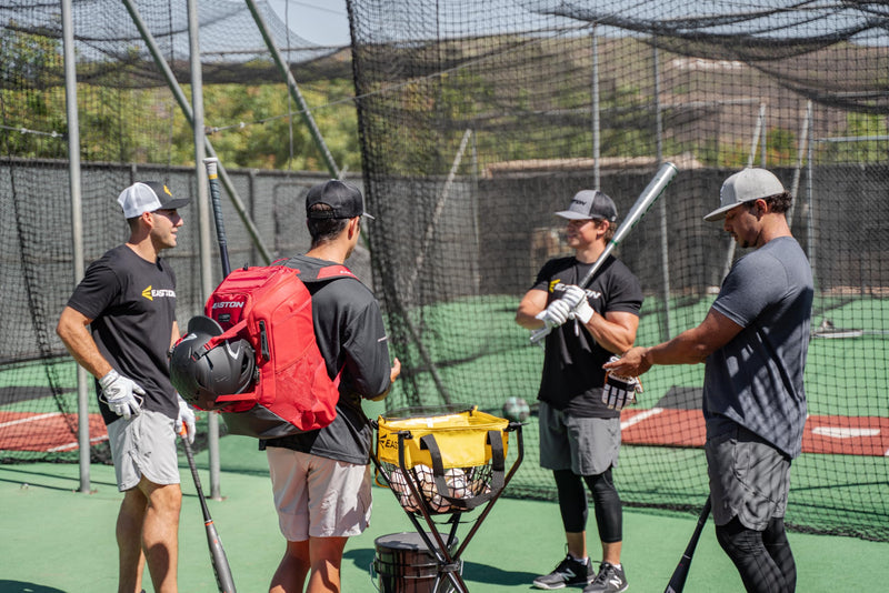 Easton | Walk-Off NX Backpack Bag Series | Adult | Team Logo Embroidery Panel | Purple