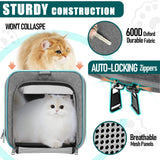 GAPZER Pet Carrier for Large Cats 20 lbs+ / Soft Sided Small Dog Travel Carriers Top Load/Collapsible Carrier Bag for Big Cat / 2 Kittens Sturdy Transport Carriers Long Trips/Medium Cats 15 pounds