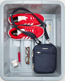 Baggallini Securtex Anti-Theft Mini Everything Crossbody Bag, 6.3"x8.25" RFID, Locking Zippers & Cut-Resistant Strap