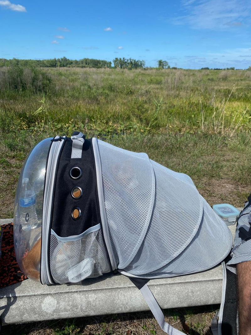 Back Expandable Cat Backpack Carrier, Fit up to 12 lbs, Space Capsule Bubble Window Pet Carrier Backpack to Carry and Transport Cat Bunny Small Puppy