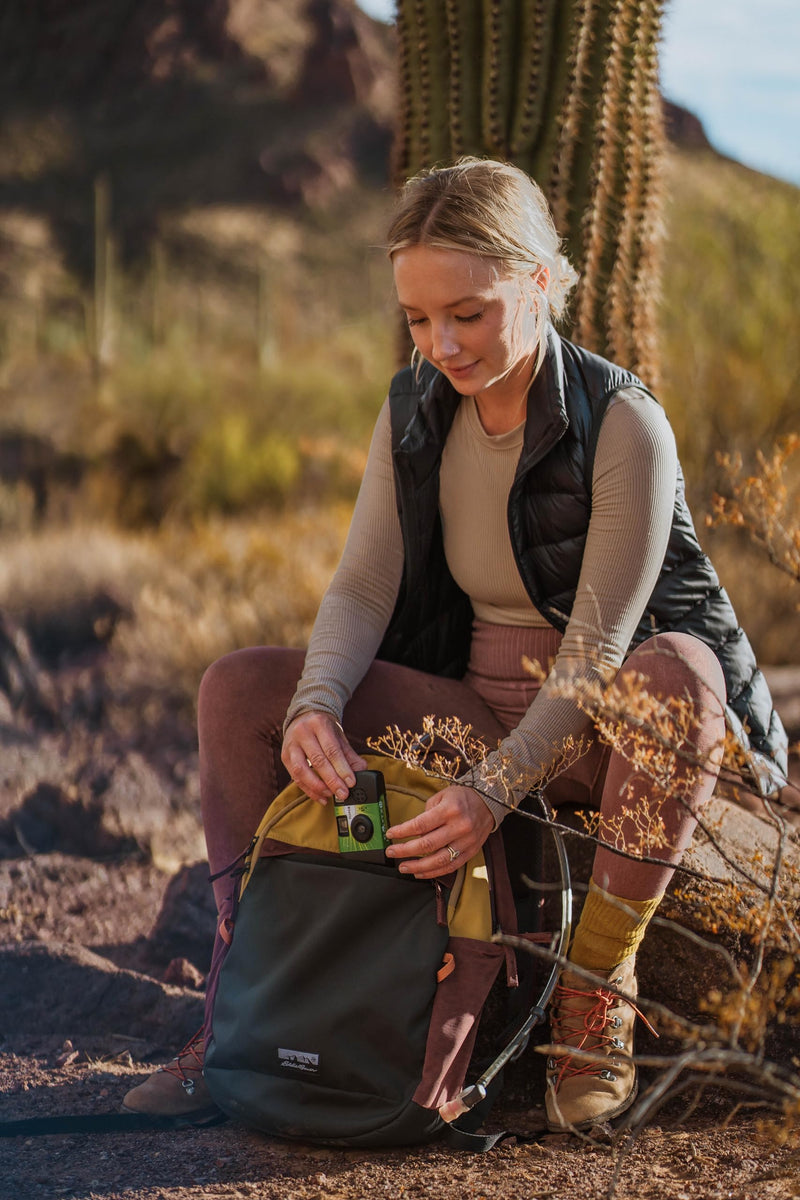 Eddie Bauer 20L Venture Backpack, Hydration and Laptop Compatible Daypack, Dusty Jade