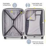 DELSEY PARIS Titanium Hardside Expandable Luggage with Spinner Wheels Checked Luggage, Graphite, Checked-Large 29 Inch