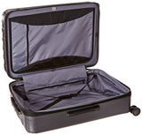 DELSEY PARIS Titanium Hardside Expandable Luggage with Spinner Wheels Checked Luggage, Graphite, Checked-Large 29 Inch