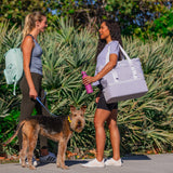 RTIC 2-in-1 Chillout Bag Soft Insulated Cooler Tote, Portable, for Lunch, Beach, Travel, Drink, Beverage, Car, Camping, Picnic, 24-Can Capacity, Grey