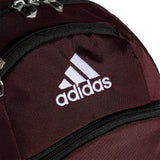 Striker Team Sports Backpack for soccer and more, workout bag for men and women