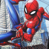 Bioworld Spider-Man Peter & Miles Blue 18" Pilot Case
