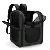 Apollo Walker Dog & Cat Carrier Backpack for 4 - 18lb Pets - Ventilated Safe Design with Padded Back Support, Breathable Mesh Pet Backpack for Hiking, Travel, Outdoor (Black)