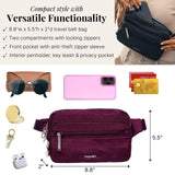 Baggallini Securtex Anti - theft Belt Bag 8.8"x5.5" Crossbody Fanny Pack for Women RFID Wallet Locking Zipper Travel Purse