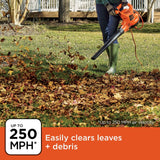 BLACK+DECKER Leaf Blower, Leaf Vacuum and Mulcher 3 in 1, Backpack Blowers for Lawn Care,250 mph Airflow, 400 cfm Delivery Power, Reusable Bag Included, Corded (BEBL7000)