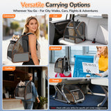 Cat Backpack Carrier Expandable for Outdoor - Foldable Cat Backpack with Breathable Mesh for Small Dog Puppy Kitten Up to 15 lbs - Soft - Sided Pet Carrier for Travel Hiking Camping (Gray)