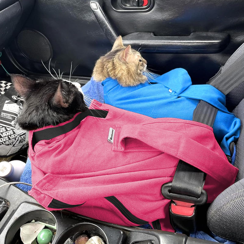 Cat Carrier Pouch, Soft Cat Bag Carrier for Bonding & Stress - Free Vet Visits, Cozy Cat Pouch Carriers to Comfort and Cuddle Your Kitty, for Medium & Small Cats, Sky Blue