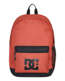 DC Shoes Men Casual, Picante, One Size