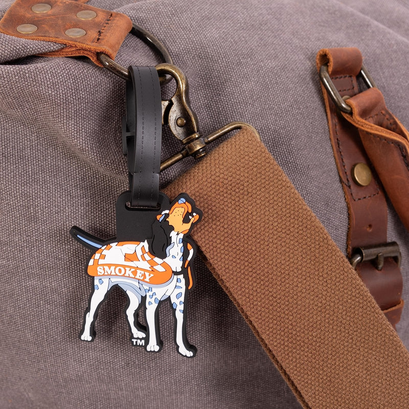 Desert Cactus University of Tennessee Luggage Tag UT Knoxville Volunteers Durable PVC Travel ID Label for Bags and Backpacks (Design B) (Pack of 2)