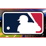 Franklin Traveler Elite Chrome Bat Pack - Chrome Black