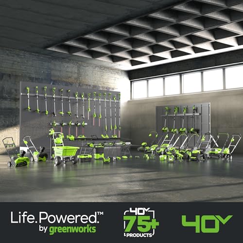 Greenworks 40V (660 CFM / 165 MPH) Brushless Backpack Leaf Blower, Commercial - Grade Power for Yards, Driveways, Patios, Includes 5.0Ah Battery & 5A Rapid Charger