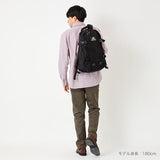Gregory All Day Backpack - black