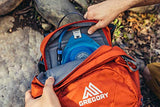 Gregory Citro 30L H2O Unisex Day Hiking/Backpacking Hydration Backpack Breathable Backpanel and Shoulder Harness, One Size Fits All, Spark Orange