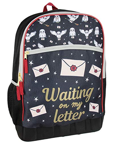 Harry Potter Hogwarts Hedwig Waiting On My Letter School Backpack 17" | Backpacks4Less