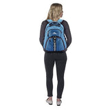 High Sierra Access 2.0 Laptop Backpack, Graphite Blue/Mercury, One Size