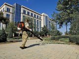 Husqvarna 350BT Gas Leaf Blower, 50.2 - cc 2.1 - HP 2 - Cycle Backpack Leaf Blower with 692 - CFM, 180 - MPH, 21 - N Powerful Clearing Performance and Ergonomic Harness System, Gifts for dad