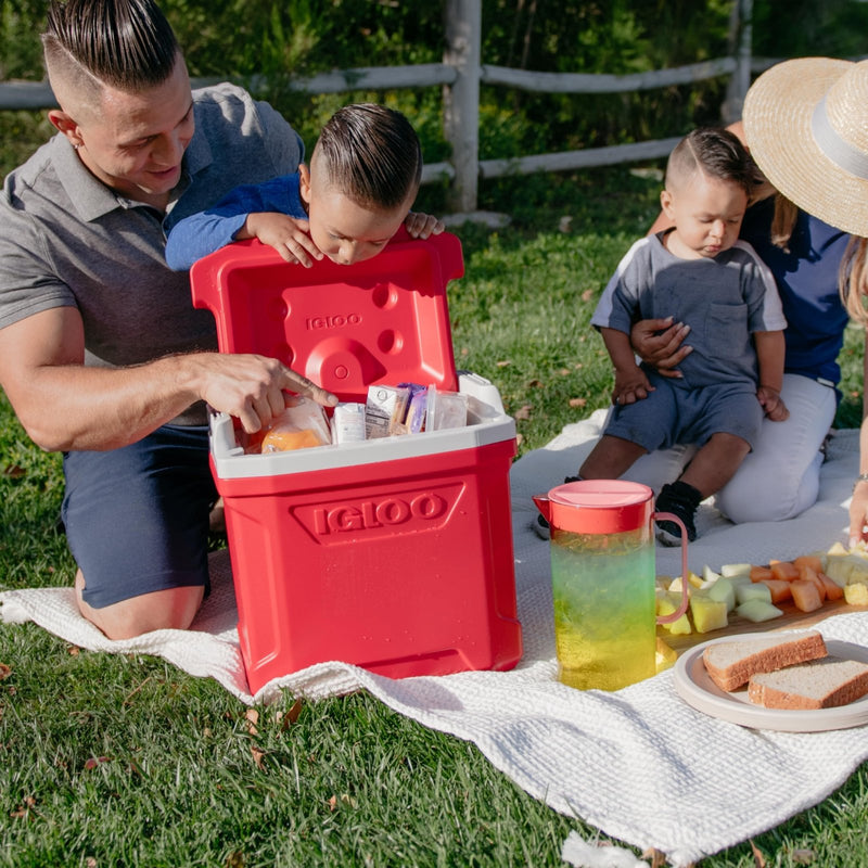 Igloo 12 - 16 Qt Profile Hardsided Insulated Lunch Cooler, 16 Qt Blue