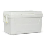 Igloos 48-Quart Hard-Sided Ice Chest Cooler with Swing-Up Handles, Quick-Access Drain Plug & Ultratherm Insulation for Camping, Tailgating, Beach & Outdoor Adventures (White)