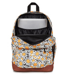JanSport Cool Backpack with 15 - inch Laptop Sleeve, Large Computer Bag Rucksack with 2 Compartments, Ergonomic Straps, Daisy Dreamscape