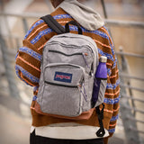 JanSport Cool Backpack with 15 - inch Laptop Sleeve, Large Computer Bag Rucksack with 2 Compartments, Ergonomic Straps, Lavender Ash