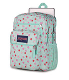 JanSport Laptop Backpack - Computer Bag with 2 Compartments, Ergonomic Shoulder Straps, 15” Laptop Sleeve, Haul Handle - Apple Orchard