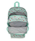 JanSport Laptop Backpack - Computer Bag with 2 Compartments, Ergonomic Shoulder Straps, 15” Laptop Sleeve, Haul Handle - Apple Orchard
