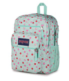 JanSport Laptop Backpack - Computer Bag with 2 Compartments, Ergonomic Shoulder Straps, 15” Laptop Sleeve, Haul Handle - Apple Orchard