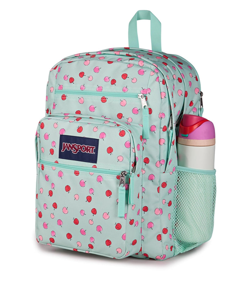 JanSport Laptop Backpack - Computer Bag with 2 Compartments, Ergonomic Shoulder Straps, 15” Laptop Sleeve, Haul Handle - Apple Orchard