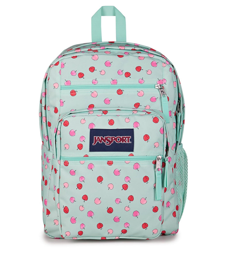 JanSport Laptop Backpack - Computer Bag with 2 Compartments, Ergonomic Shoulder Straps, 15” Laptop Sleeve, Haul Handle - Apple Orchard