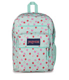 JanSport Laptop Backpack - Computer Bag with 2 Compartments, Ergonomic Shoulder Straps, 15” Laptop Sleeve, Haul Handle - Apple Orchard