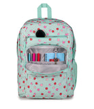 JanSport Laptop Backpack - Computer Bag with 2 Compartments, Ergonomic Shoulder Straps, 15” Laptop Sleeve, Haul Handle - Apple Orchard
