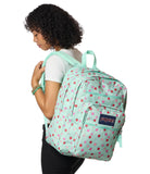 JanSport Laptop Backpack - Computer Bag with 2 Compartments, Ergonomic Shoulder Straps, 15” Laptop Sleeve, Haul Handle - Apple Orchard