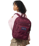 JanSport Laptop Backpack - Computer Bag with 2 Compartments, Ergonomic Shoulder Straps, 15” Laptop Sleeve, Haul Handle - Cherry Lacquer