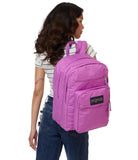 JanSport Laptop Backpack - Computer Bag with 2 Compartments, Ergonomic Shoulder Straps, 15” Laptop Sleeve, Haul Handle - Digital Fuchsia