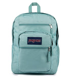 JanSport Laptop Backpack - Computer Bag with 2 Compartments, Ergonomic Shoulder Straps, 15” Laptop Sleeve, Haul Handle - Faded Sage