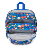 JanSport Laptop Backpack - Computer Bag with 2 Compartments, Ergonomic Shoulder Straps, 15” Laptop Sleeve, Haul Handle - Flower Market