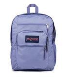 JanSport Laptop Backpack - Computer Bag with 2 Compartments, Ergonomic Shoulder Straps, 15” Laptop Sleeve, Haul Handle - Lavender Ash
