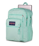 JanSport Laptop Backpack - Computer Bag with 2 Compartments, Ergonomic Shoulder Straps, 15” Laptop Sleeve, Haul Handle - Magic Mint
